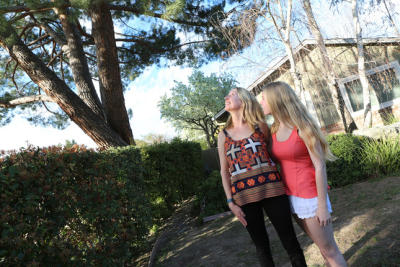 20160217__ssar0219tree1_gallery